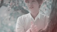 鹿晗,吴世勋(EXO) - 百鬼夜行