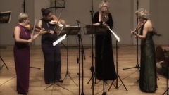 音乐短片 - 泰勒曼D大调4小提琴协奏曲第二号