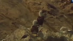 音乐短片 - Lima (秘鲁首都)