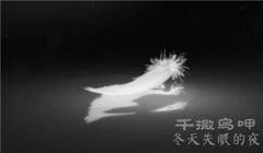 千撒乌呷 - 冬天失眠的夜