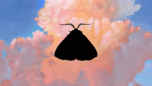 Chairlift - Moth to the Flame (Olga Bell Remix - Pseudo Video)