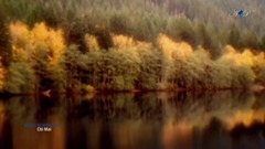 音乐短片 - Chi Mai