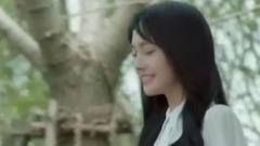 郑爽 - 我在红尘中遇见你