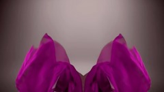 欧美群星 - LOTO