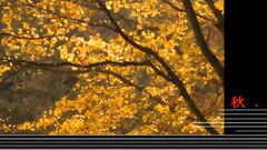 音乐短片 - Autumn Leaves