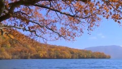 音乐短片 - 秋怨