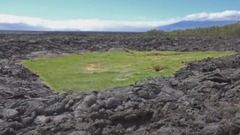 音乐短片 - 厄瓜多尔加拉帕戈斯群岛