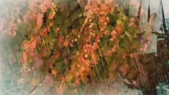 音乐短片 - 深秋轶事