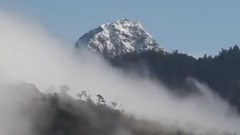 音乐短片 - 中国台湾雪霸国家公园 樱雪奇缘 春游武陵樱花季