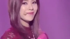 Stellar - Fool