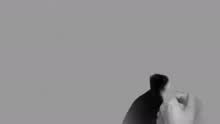 Alicia Keys - Blended Family (What You Do For Love) (Audio)