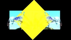 欧美群星 - T S I E R