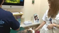 AKB48,高桥南 - たかみなについて行きます 〜25歳のとある1日〜