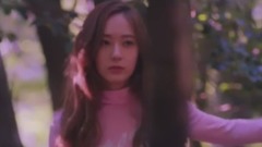 f(x) - 4 Walls