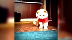 音乐短片 - 你是我天边最美的云彩