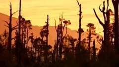 音乐短片 - 烈火战车