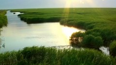 音乐短片 - 盘锦芦苇荡