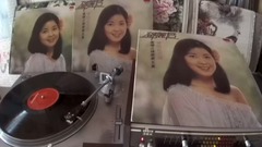 邓丽君 - 你装做不知道(1978年polydor黑胶版)