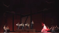 音乐短片,舞蹈视频 - TARANTO. LA TABERNA DEL TORO