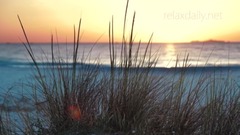 音乐短片 - 惬意的音乐美丽的日落