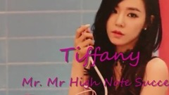 少女时代,Tiffany(少女时代) - Mr. Mr.