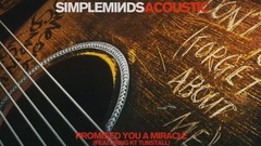 Simple Minds - Promised You A Miracle