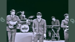 The Animals - House Of The Rising Sun