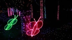 音乐短片 - 昆明世博园国际梦幻灯光节