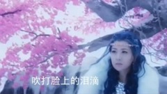 于文文 - 莲殇 幻城 插曲