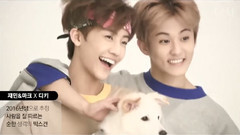 Seventeen - I Love Pet !