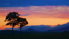 音乐短片 - 一生所爱