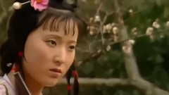 音乐短片 - 葬花吟(大提琴与古筝短箫)