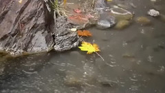 音乐短片 - 请不要爱我