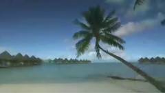 音乐短片 - Without You