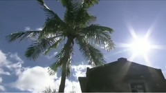 音乐短片 - 绿岛小夜曲