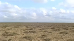 音乐短片 - 苍茫