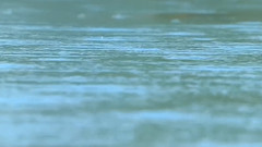 音乐短片 - 下雨的时候