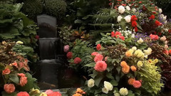 音乐短片 - A New Day Has Come