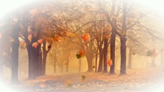 音乐短片 - 天使的翅膀