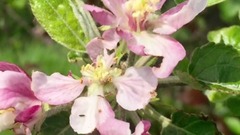 音乐短片 - Colours Of Love