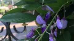 音乐短片 - New Life