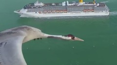 音乐短片 - The Wings