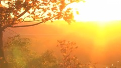 音乐短片 - Saturn