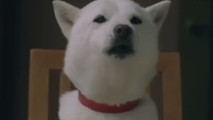 音乐短片 - Harmonious Japanese Television Advertising