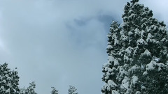 音乐短片 - 风行旅拍 日本 石川