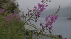 音乐短片 - 回忆