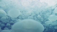 音乐短片 - Tender Touch(温柔触摸)