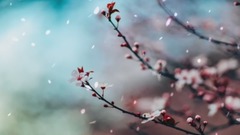 音乐短片 - BTS Jin - AWAKE - Piano Cover