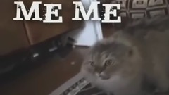 音乐短片 - NONONONO