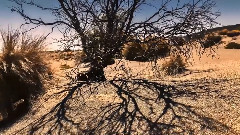 音乐短片 - 新西兰的孤独